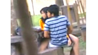 Indian students caught having sex in park by voyeur
