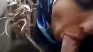 Turkish woman in hijab gives public oral pleasure