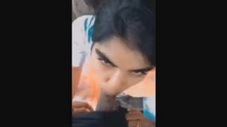Indian beauty gives outdoor head in compilation