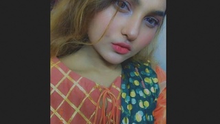 Gorgeous and seductive women from Bangladesh in a heated video