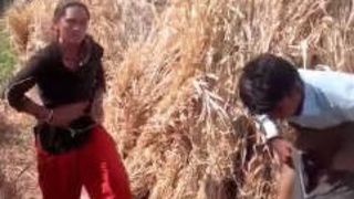 Indian housewife engages in outdoor sexual activity