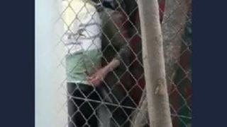 Indian-style quick standing sex with hijabi outdoors