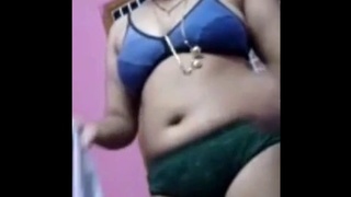Indian bhabhis tease with their ample bosoms