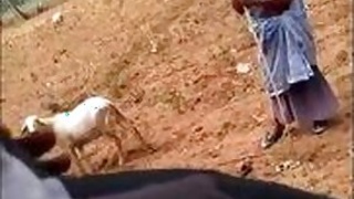 Crazy young Indian dick flash village grandmother outdoors, new Desi viral MMC