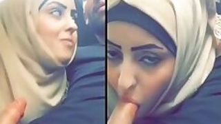 Short Desi mms clip of Indian girl caught sucking cock in car