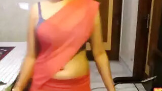 Tamil Punjabi Girl in a Nude Sari