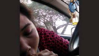 A charming Japanese woman performs a seductive oral sex act in a vehicle